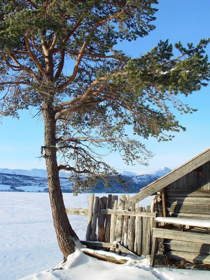 Lemonsjo Fjellstue Og Hyttegrend Randsverk Exterior foto